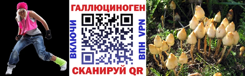 Купить  Красноярск  Галлюциногенные грибы GOLDEN TEACHER 
